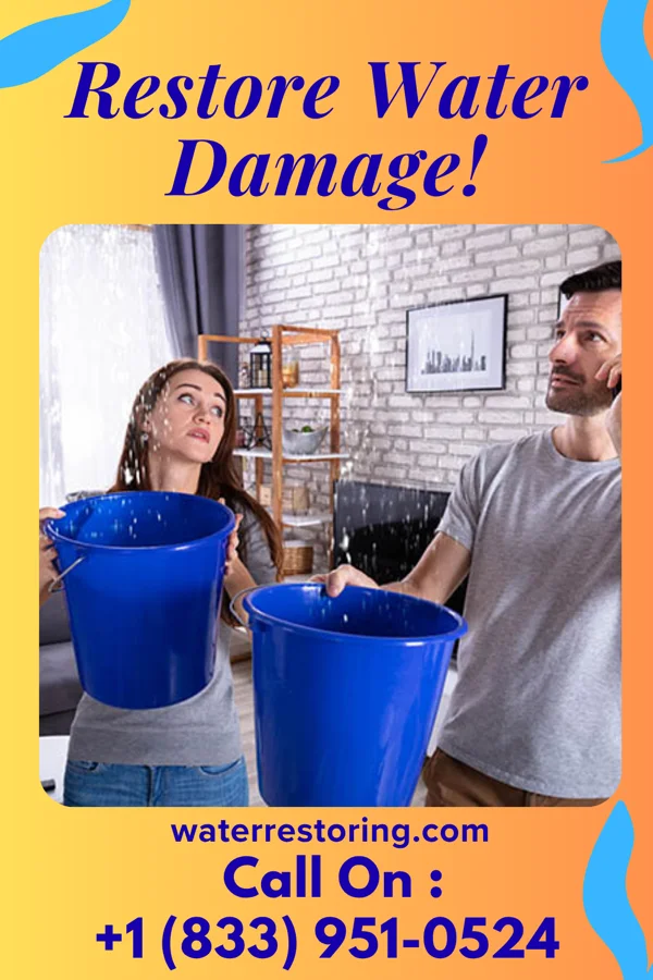 water restoration Vigilant Damage Recovery Inc Coatesville