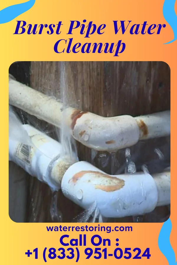 Burst Pipe Water Cleanup in Coatesville, PA