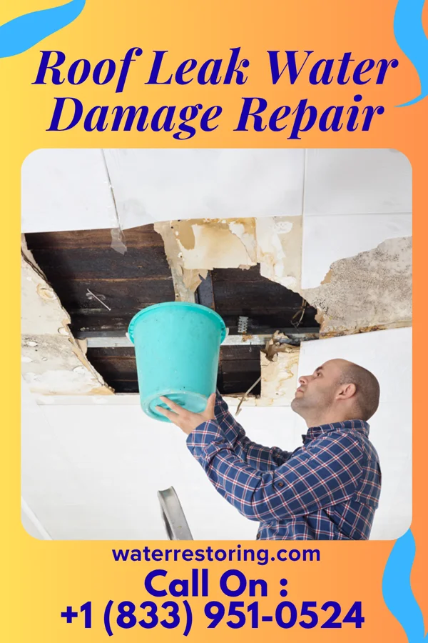 Roof Leak Water Damage Repair in Coatesville, PA