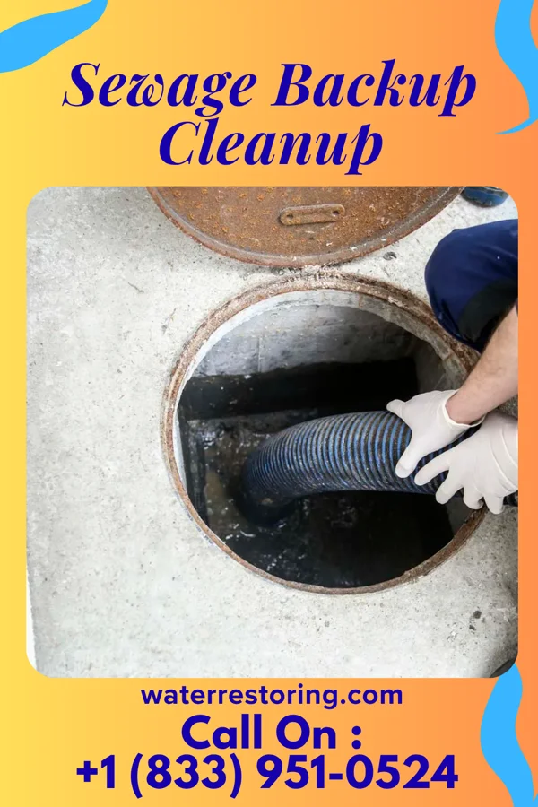 Sewage Backup Cleanup in Coatesville, PA