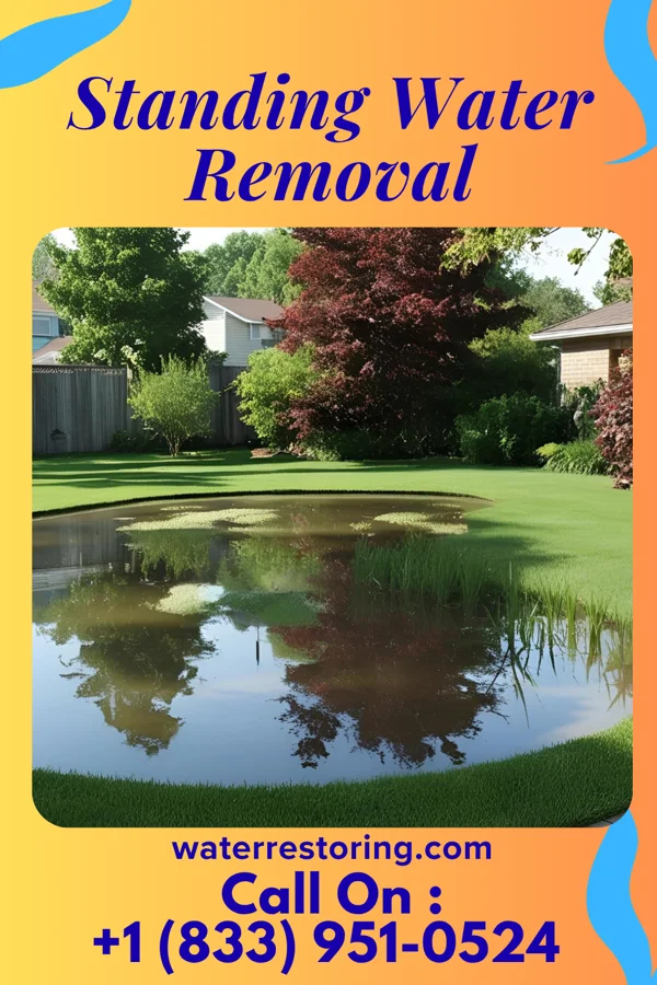 Standing Water Removal in Coatesville, PA